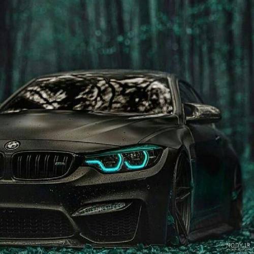 رائوف فایک Школа, березка